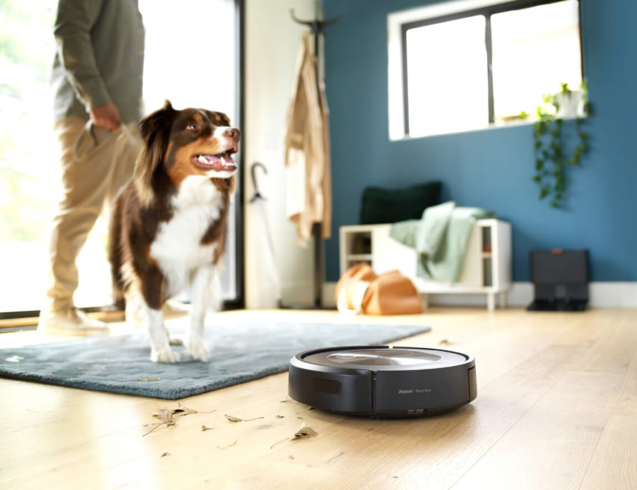 Jaki odkurzacz dla posiadaczy zwierząt?