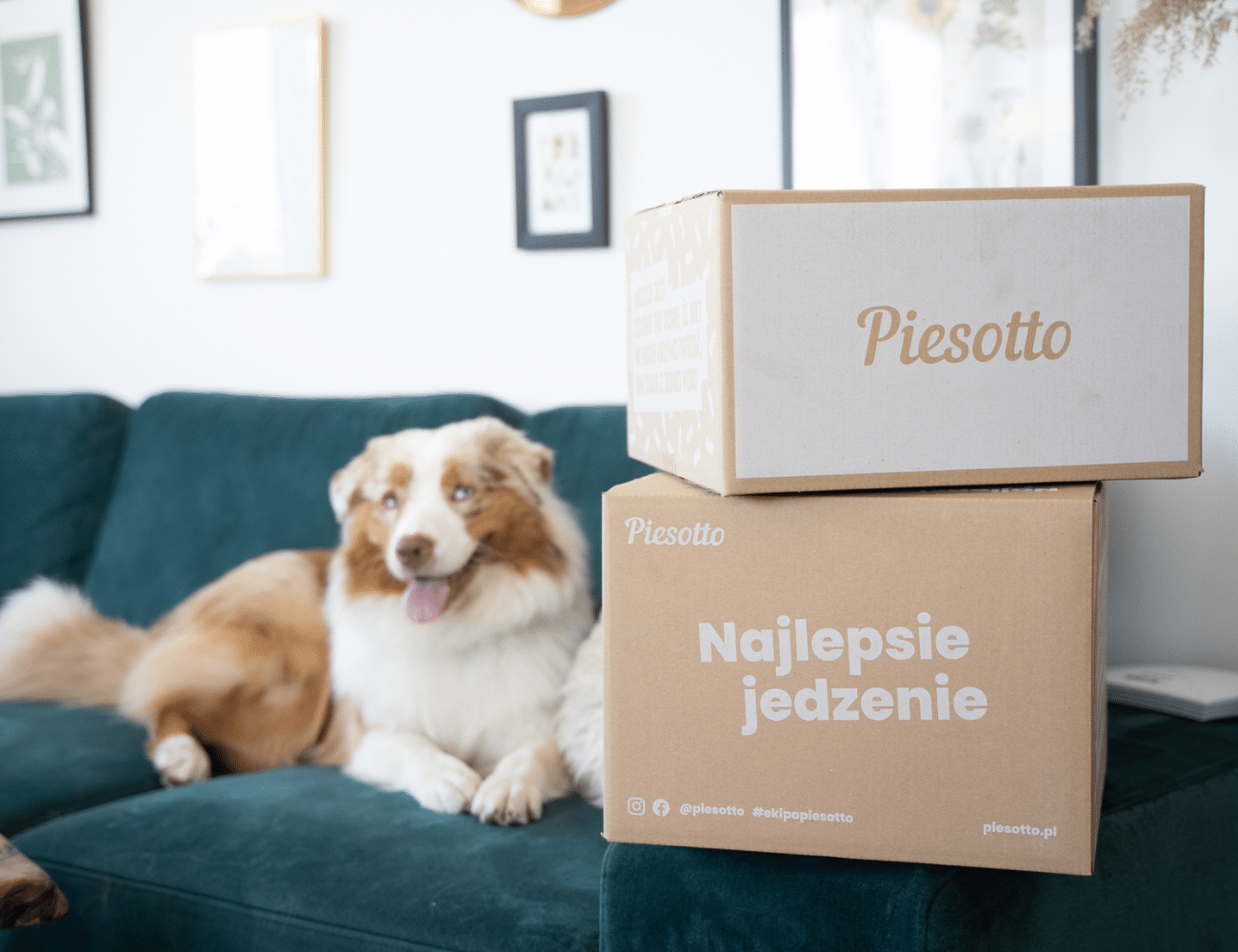 ”Wezwij posiłki” z Samsung i Piesotto — zyskaj nawet 400 zł dzięki współpracy dwóch marek